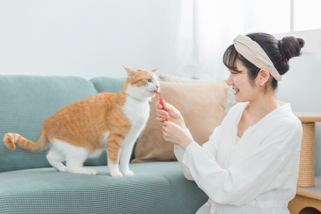 人気のおやつ大集合♪ごほうびタイムをもっと楽しく！